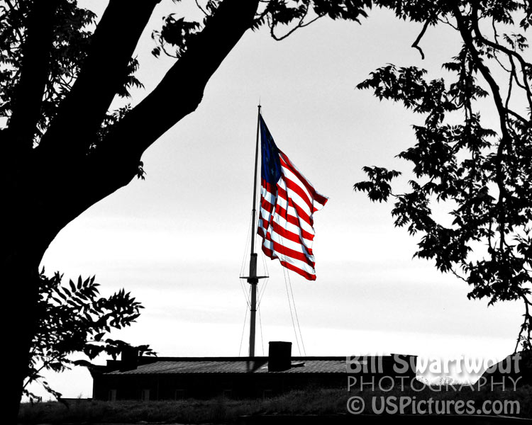 Colorful Stars and Stripes